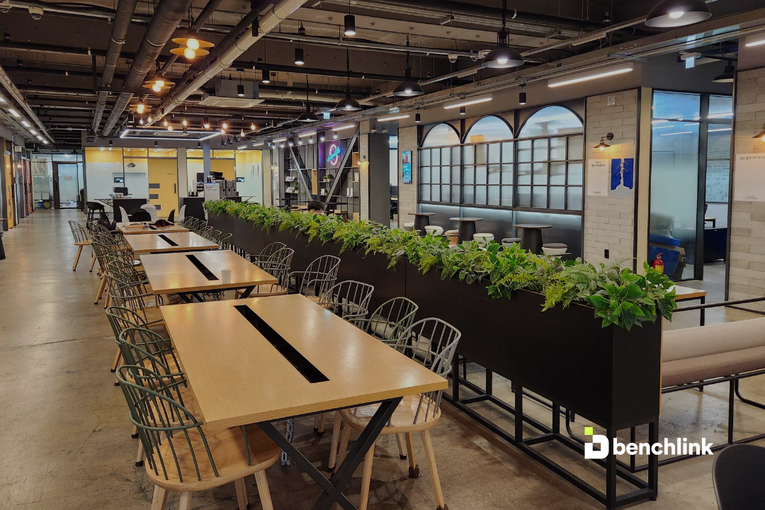 벤치링크_백엔드 개발자 모집