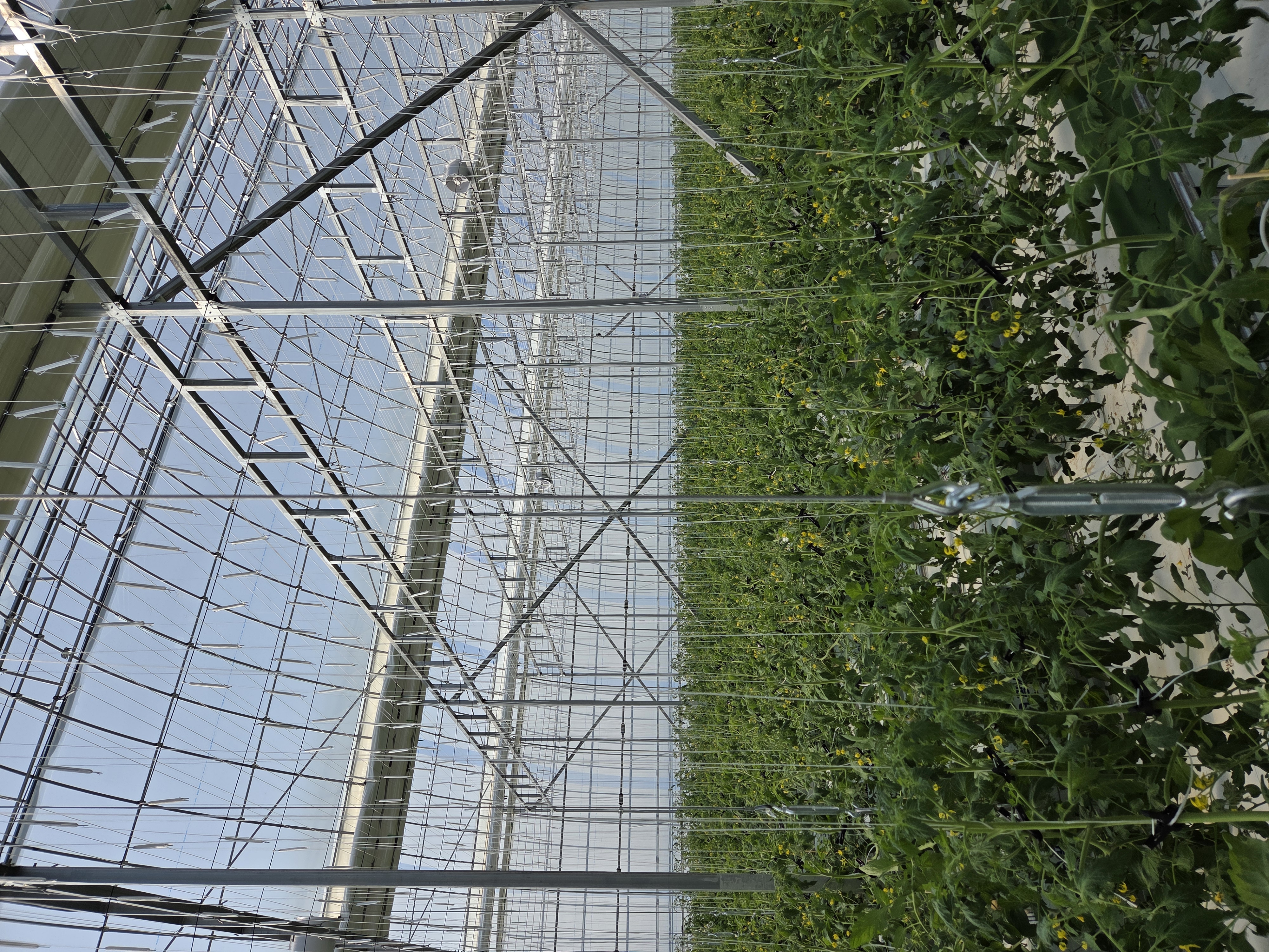 크로프트_온실 환경 제어 AI 에이전트 개발 엔지니어