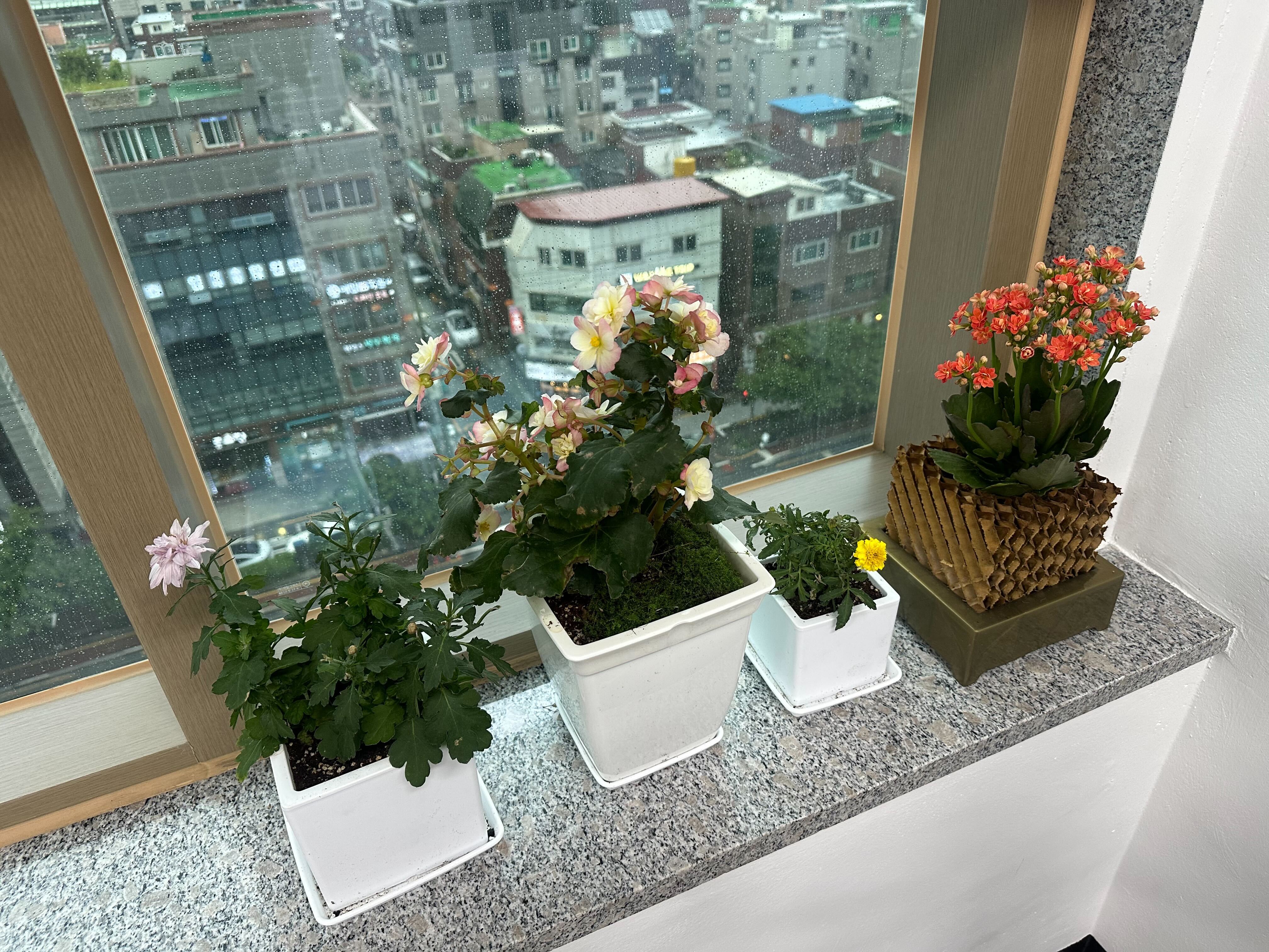 데이터드리븐_풀스택 개발자