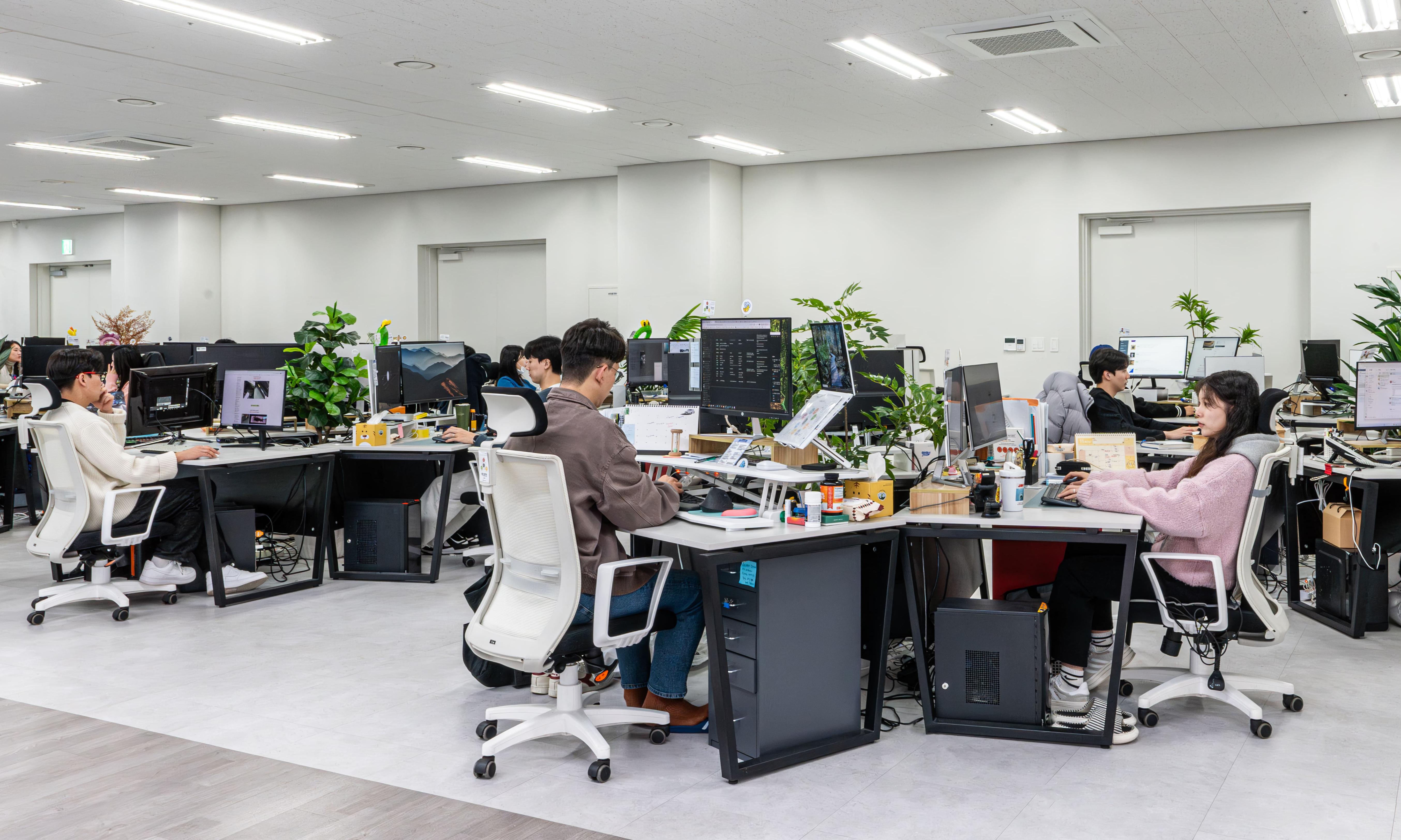왈로우_웹(NextJS) / 앱(React Native) 개발자