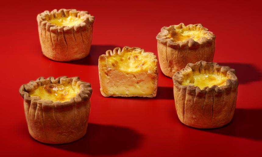 델리타스_웹퍼블리셔 (그래픽)