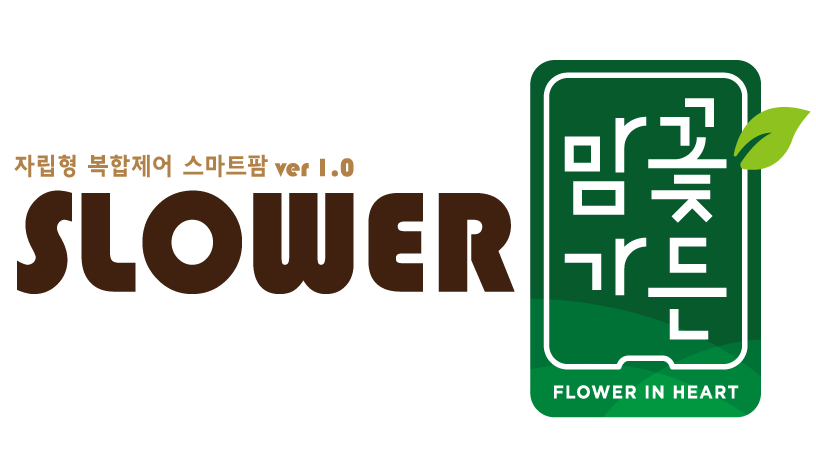 맘꽃주식회사_데이터분석 및 데이터베이스 관리 경력